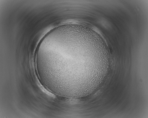 X0000081351090200701111449