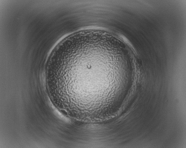 X0000081351092200701111448