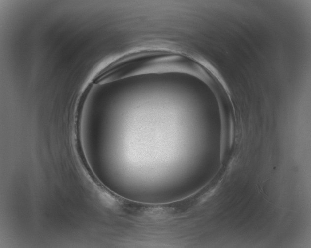 X0000081351093200701111448