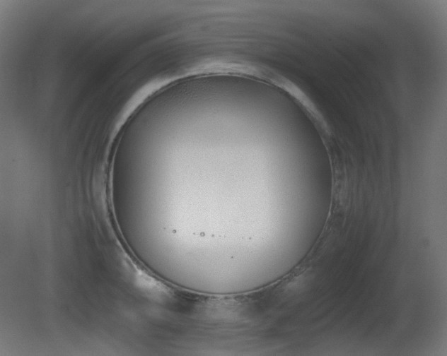 X0000081351094200701111448