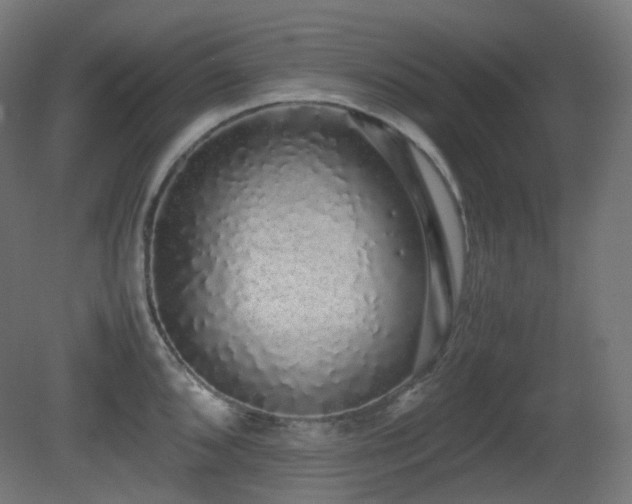 X0000081351096200701111448