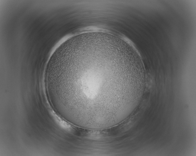 X0000081351098200701111448