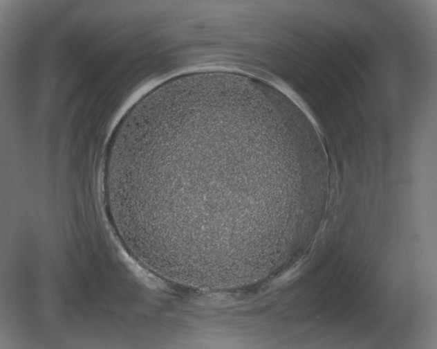 X0000081351101200701111448