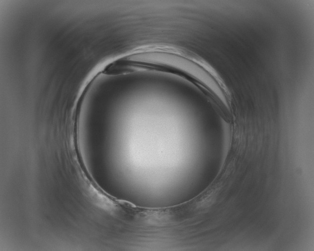 X0000081351102200701111448