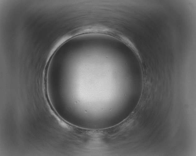 X0000081351103200701111448