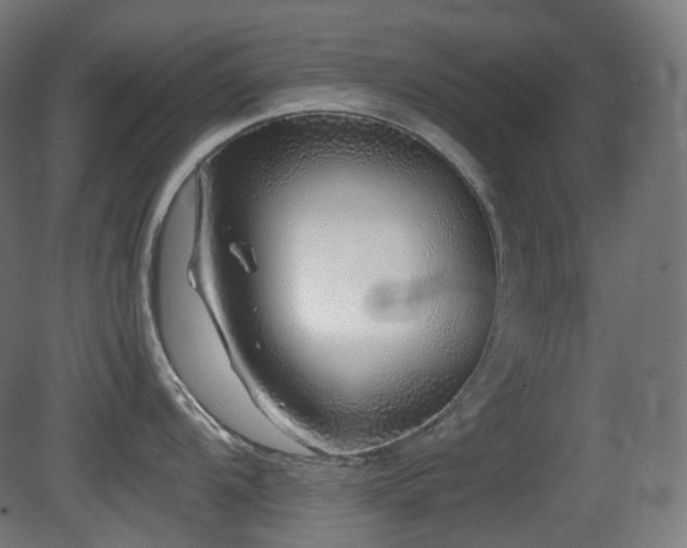 X0000081351104200701111448