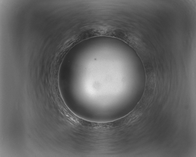 X0000081351105200701111447
