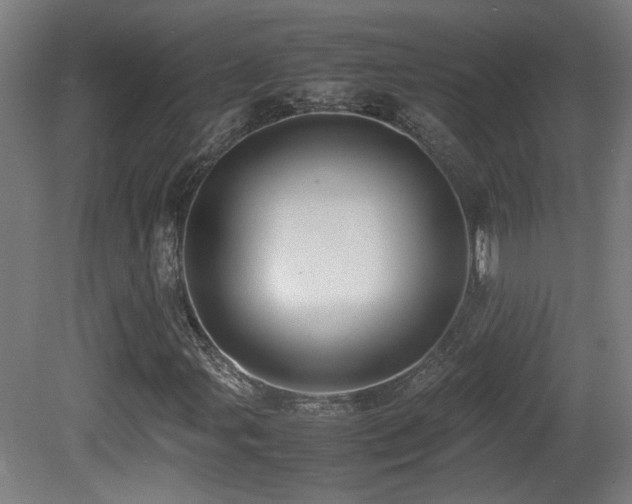 X0000081351107200701111447