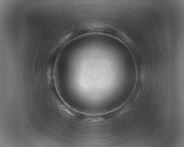 X0000081351108200701111448