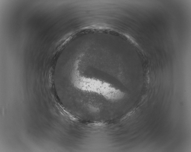 X0000081351110200701111448