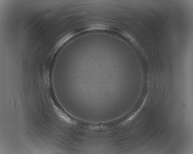 X0000081351113200701111448