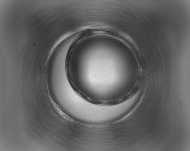 X0000081351114200701111448