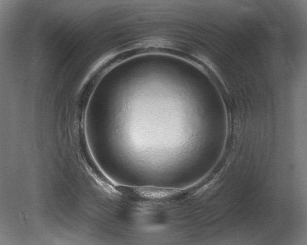 X0000081351115200701111448