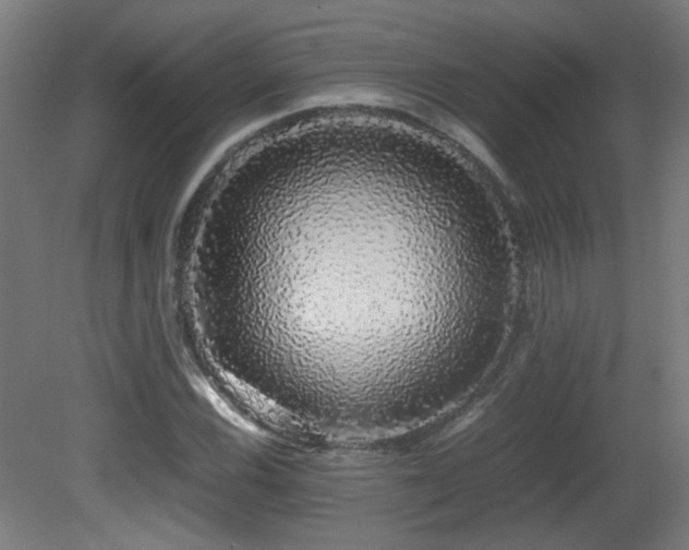 X0000081351116200701111448