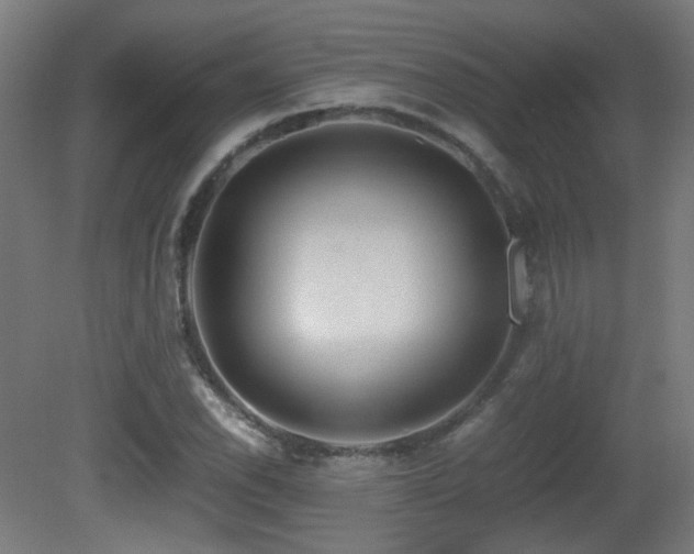 X0000081351118200701111448