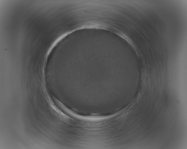 X0000081351120200701111448