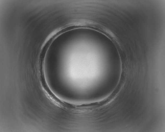 X0000081351122200701111448