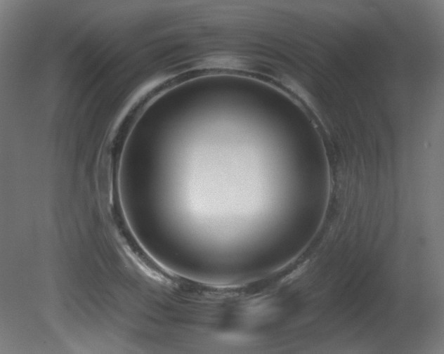 X0000081351123200701111448