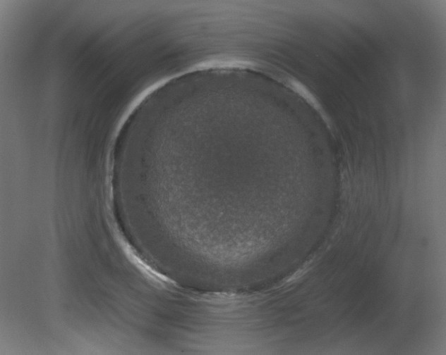 X0000081351124200701111448