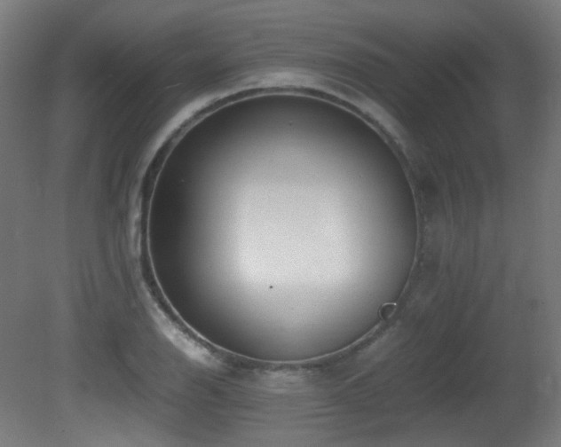 X0000081351126200701111448