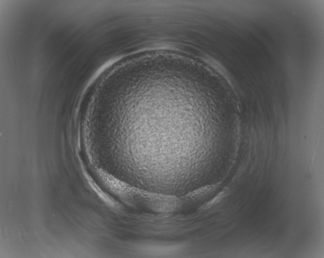 X0000081351127200701111448
