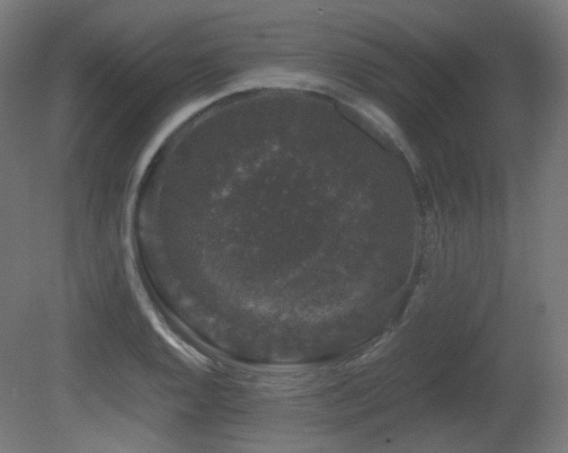 X0000081351128200701111448