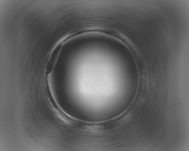 X0000081351129200701111448