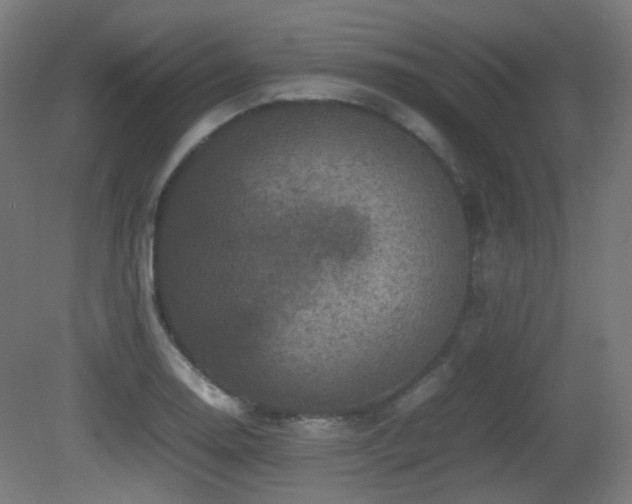 X0000081351130200701111448