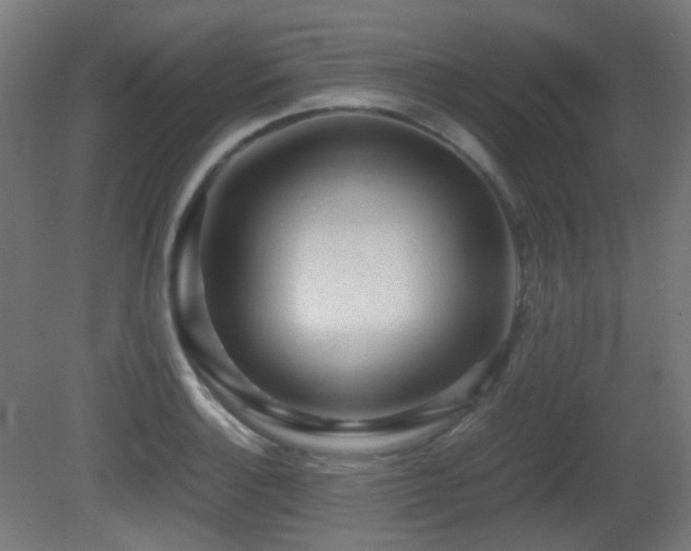 X0000081351132200701111448