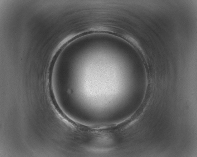 X0000081351133200701111448
