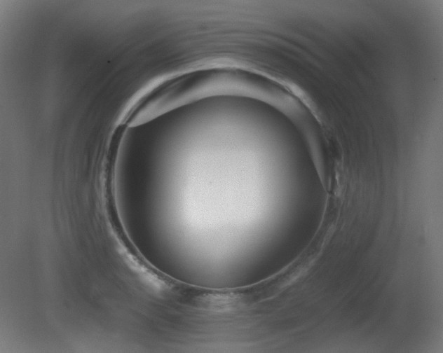 X0000081351134200701111448