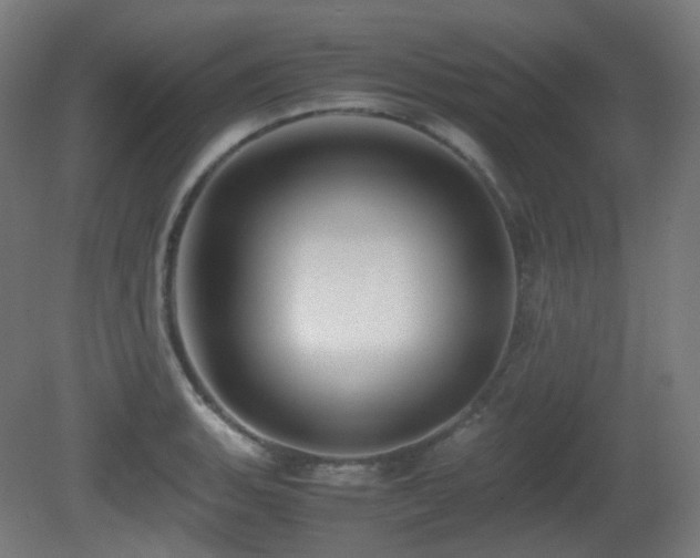 X0000081351135200701111448