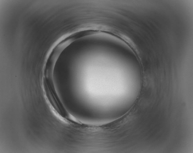 X0000081351136200701111448