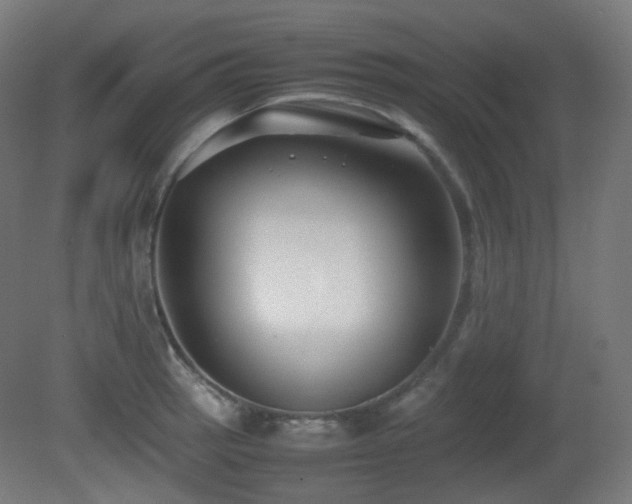 X0000081351137200701111448