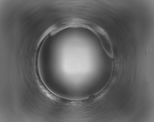 X0000081351138200701111448