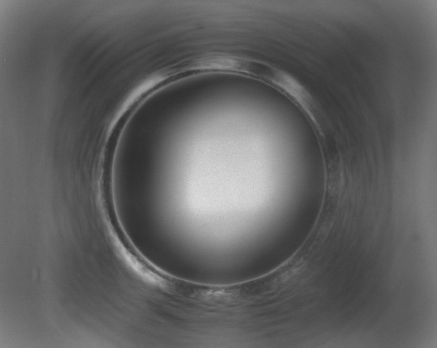 X0000081351139200701111448