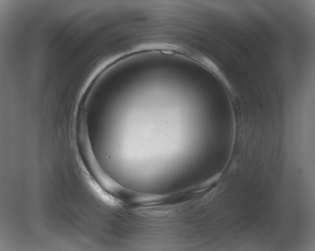 X0000081351140200701111448