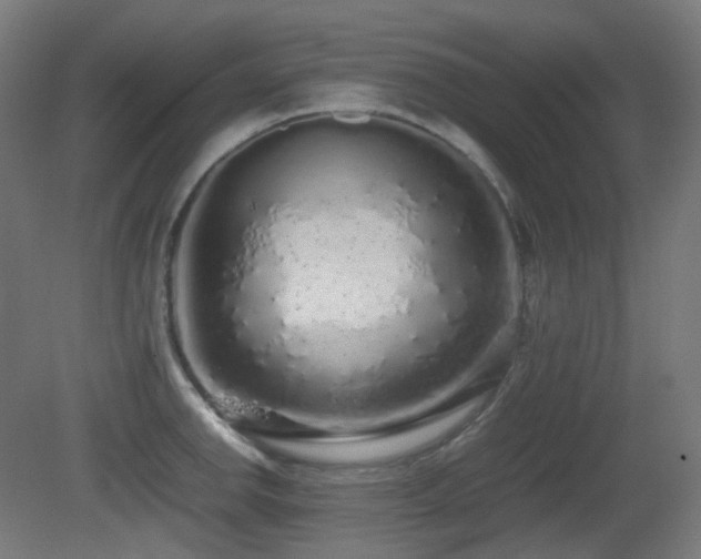 X0000081351142200701111448