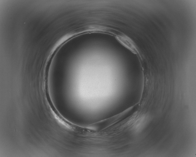 X0000081351143200701111448