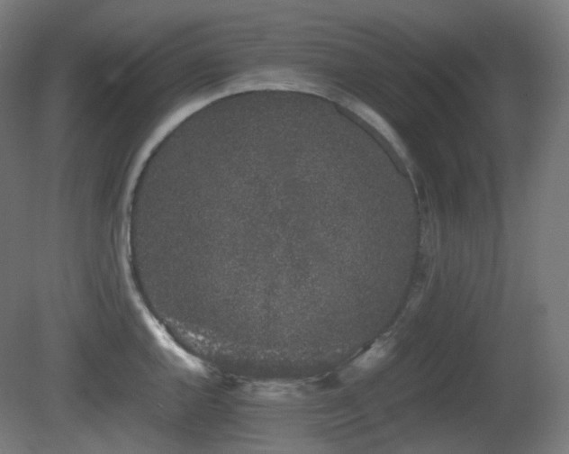 X0000081351144200701111448