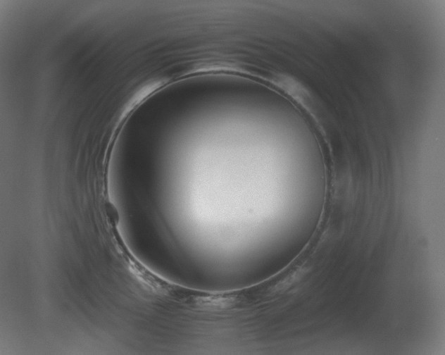 X0000081351145200701111448
