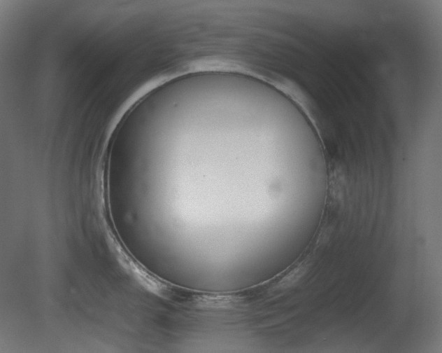 X0000081351150200701111448