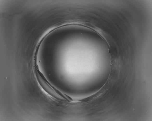 X0000081351151200701111448