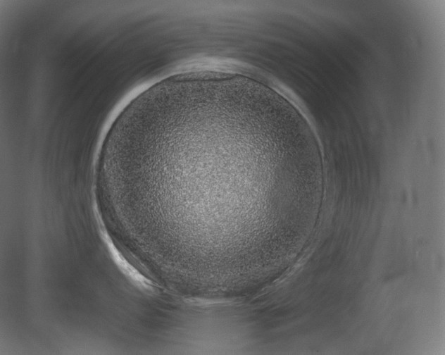 X0000081351152200701111448