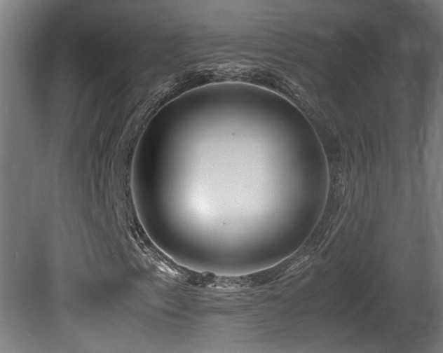 X0000081351153200701111447