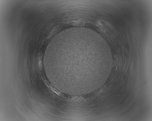 X0000081351154200701111447