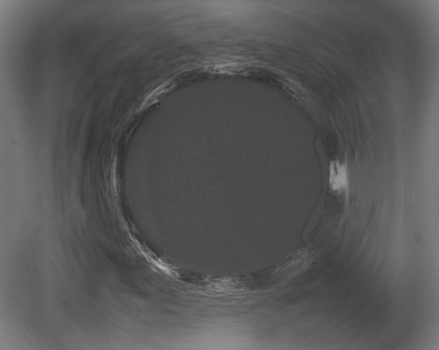 X0000081351155200701111447