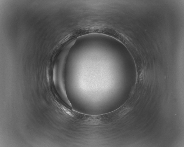 X0000081351156200701111447