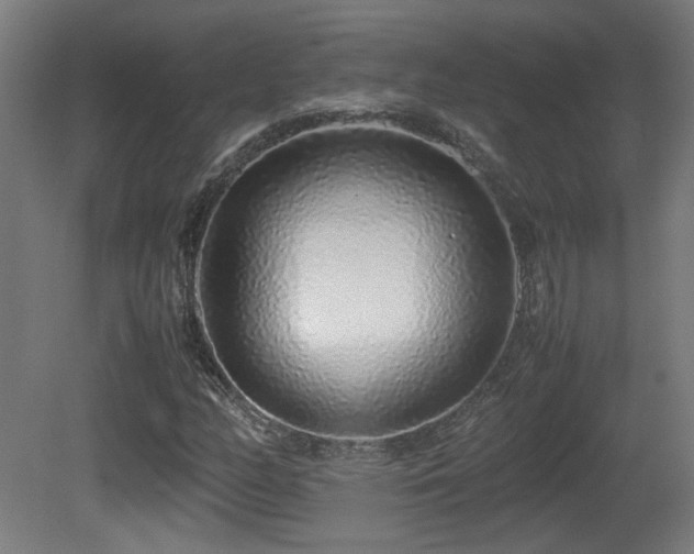 X0000081351158200701111447
