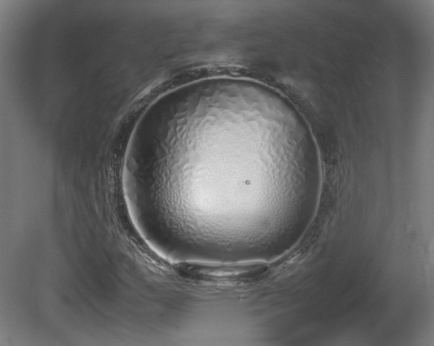 X0000081351159200701111447